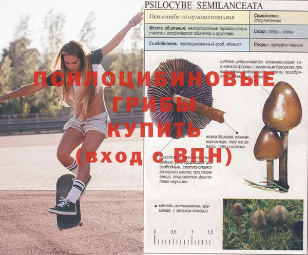 твердый Алексин