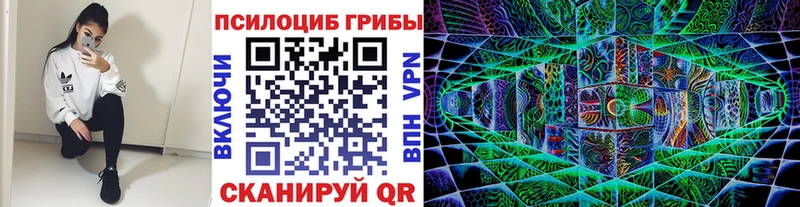 Псилоцибиновые грибы Cubensis  Малаховка 